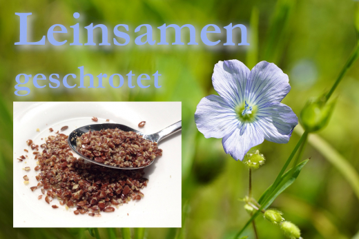 Leinsamen geschrotet BIO 250gr